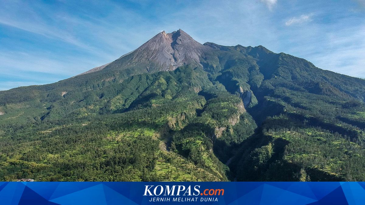 Mengenal Sedekah Gunung Merapi di Boyolali, Ada Kirab Kepala Kerbau