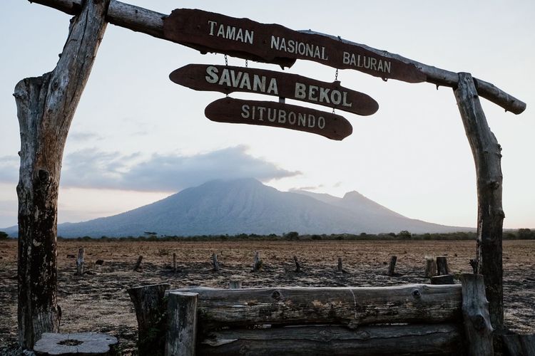 Ilustrasi Taman Nasional Baluran. Salah satu desa penyangga dari taman nasional ini adalah Desa Wisata Kebangsaan Wonorejo di Kabupaten Situbondo, Jawa Timur.