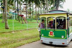 Pohon Angpao Berisi Ragam Promo Gratis di Taman Buah Mekarsari