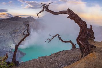 Legenda Banyuwangi: Kisah Sri Tanjung dan Asal Usul Nama Banyuwangi