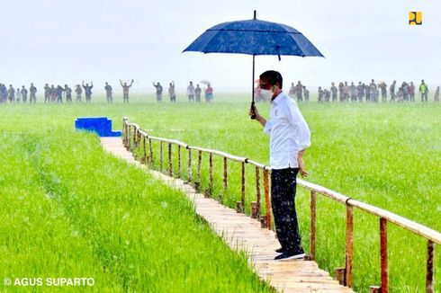 Jokowi Minta Basuki Bangun Bendungan Dukung Food Estate di NTT