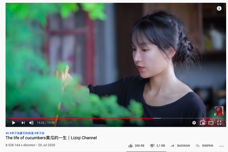 Li Ziqi, Youtuber China Yang Terkenal Dengan Kehidupan Perdesaan