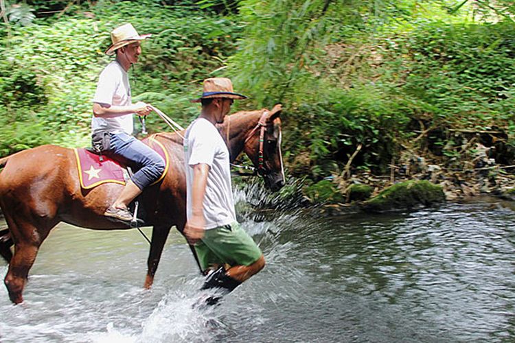 Wisatawan menikmati petualangan berkuda di Sungai Nglarang, Desa Tirtoadi, Kecamatan Mlati, Kabupaten Sleman, Daerah Istimewa Yogyakarta, Sabtu (11/3/2017). Wisata berkuda di sungai itu ditawarkan oleh Bale Kuda Stable. Destinasi wisata baru di DIY tersebut buka sejak Januari 2017.