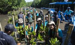 Djarum Foundation Komitmen Jalankan Penghijauan Lewat Penanaman Trembesi dan Mangrove