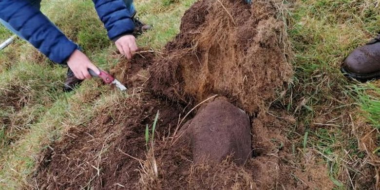 Lebih dari 100 batu nisan telah ditemukan di pemakaman kuno di Irlandia ini.