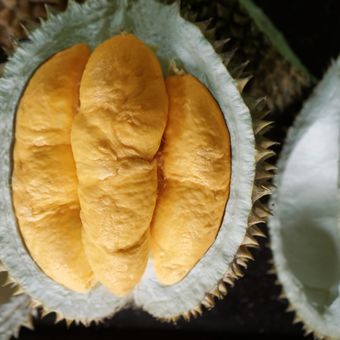 Ilustrasi buah durian bawor. 