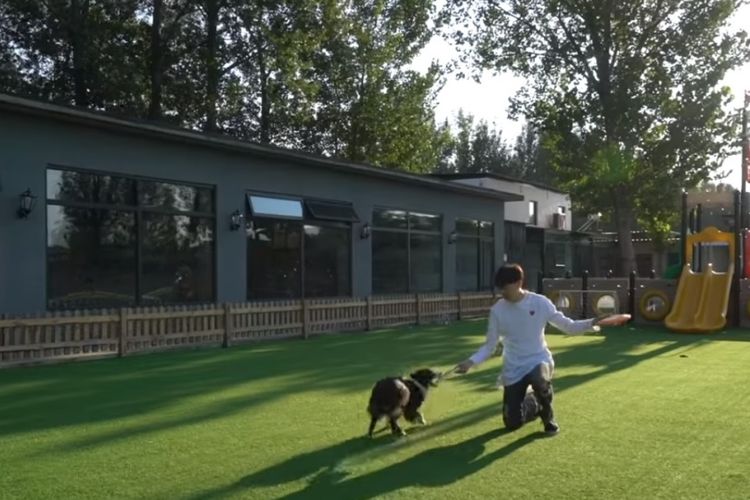 Zhou Tianxiao saat bermain bersama dengan anjingnya Sylar di depan rumah anjing miliknya yang bernilai sekitar 3,5 juta yuan atau lebih dari Rp 7 miliar.