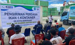 KSBM Biak Sukses Kirim 13,3 Ton Ikan Segar, Wujud Dampak Positif Program Kalamo