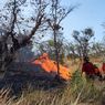 Ribuan Hektar Lahan di Kawasan Taman Nasional Gunung Tambora Terbakar