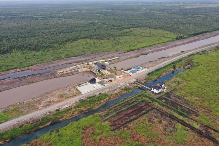 Lahan GEMPITA Kalimantan Tengah memanfaatkan teknologi modern telah ditanam padi varietas inpari 42 dengan pertumbuhan tanaman produktivitasnya bisa mencapai 3,5-4,5 ton/ha.