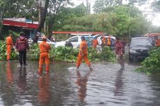 Hujan Deras dan Angin Kencang Landa Padang, 7 Pohon Tumbang