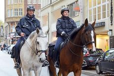 Anjing dan Kuda Dinas Pemerintahan Polandia Akan dapat 
