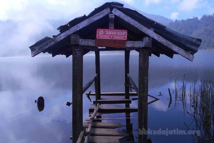 Danau Taman Hidup di Gunung Argopuro