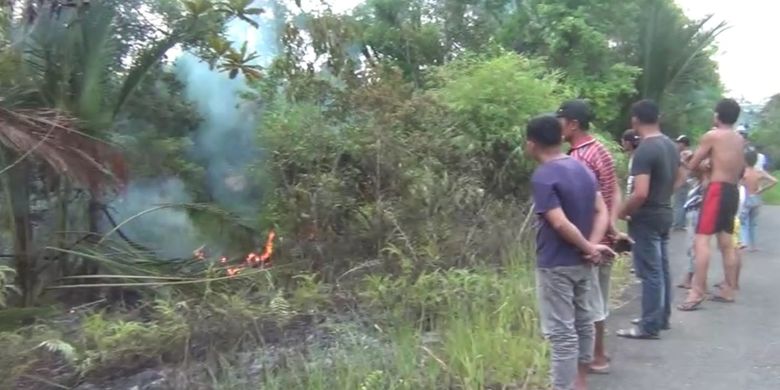 5 Hektar kawasan lahan pertanian milik warga di sekitar hutan di Desa Nikootano Dao, Kecamatan Gunungsitoli Alooa, Kota Gunungsitoli, Sumatera Utara, hangus terbakar, Jumat (28/2/2020).