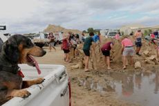 Badai Debbie Ancam Australia, Satu Tewas dan Ribuan Orang Dievakuasi