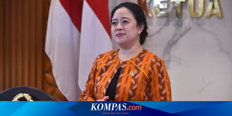 Dukung Pembelian LPG 3 Kg Pakai NIK, Puan Tekankan Sosialisasi dan Kesiapan Infrastruktur