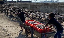 Kemiskinan Ekstrem Tidak Akan Selesai Tanpa Literasi