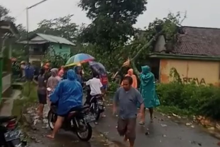 Kondisi rumah warga di Kecamatan Purwodadi, Kabupaten Pasuruan yang rusak tertimpa pohon akibat puting beliung. 