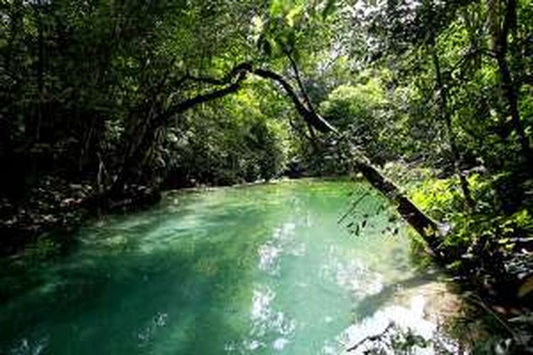 Air terjun Mata Jitu di Desa Pulau Aji, Kecamatan Labuan Badas, Kabupaten Sumbawa, Nusa Tenggara Barat, Jumat (15/4/2016). Untuk menuju lokasi wisata, wisatawan umumnya menggunakan ojek. 