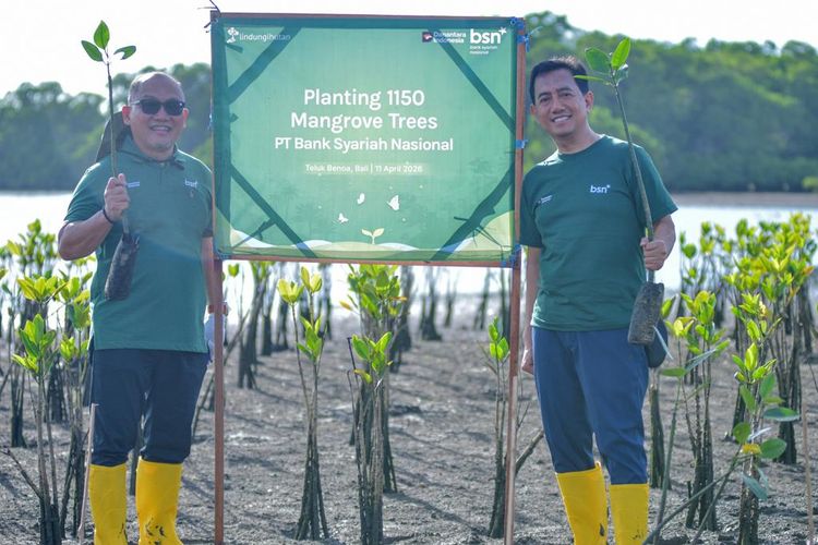 Investasi Hijau, Bank Syariah Nasional Tanam 1.150 Mangrove di Teluk Benoa