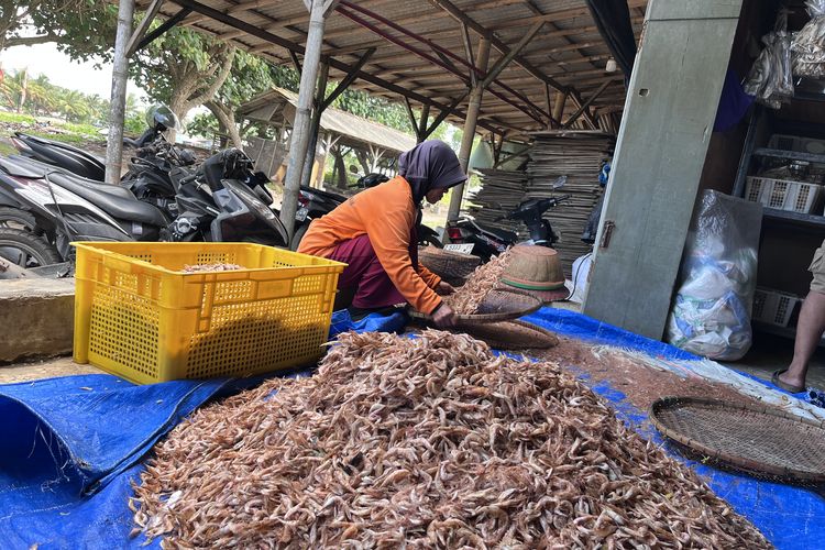 Udang Kering Pangandaran, Oleh-oleh Premium Rp 100.000 Per Kg yang Diburu Wisatawan