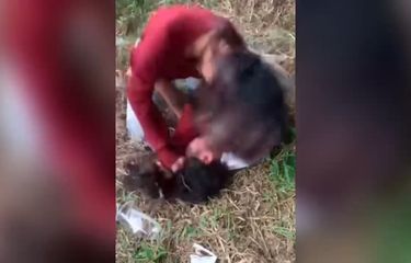 Siswi SMP di Kampar Berduel, Polisi Turun Tangan