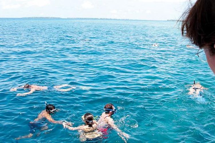 Snorkeling adalah salah satu kegiatan yang menjadi daya tarik wisata Maladewa. Di perairan Maladewa yang jernih, penyelam bisa melihat berbagai biota laut. 