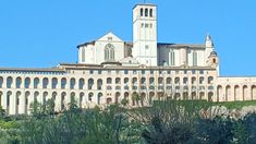 800 Tahun Santo Fransiskus, Kota Assisi Jadi Magnet Ziarah Dunia