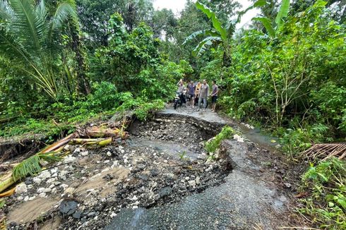 Pohon Tumbang dan Jalan Ambles di Pulau Haruku, Akses Transportasi Antardesa Lumpuh