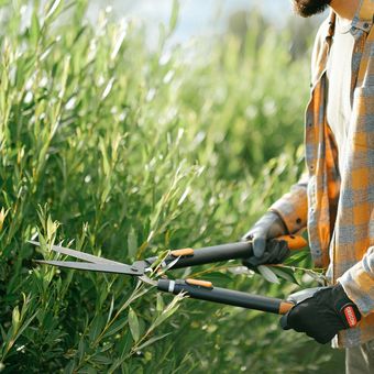 Memotong rumput selama 30 menit diperkirakan dapat membakar sekitar 167 kalori.