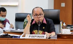 2,3 Juta Tenaga Honorer Akan Diangkat Jadi PPPK, Junimart Girsang: Seluruhnya, Tidak Ada Pengecualian