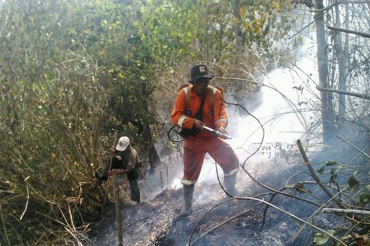 Petugas BKSDA melakukan upaya pemadaman di salahsatu titik kawasan Gunung Guntur yang terbakar. Pendakian ke Gunung Guntur pun ditutup sementara (Foto Dok KSDA)