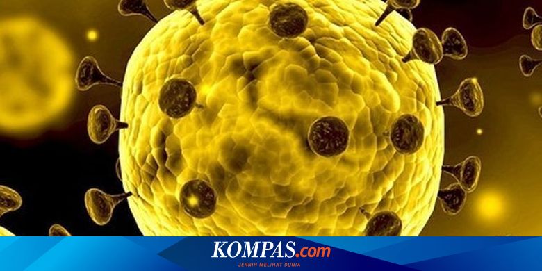 Studi Obat Anti Parasit Ivermectin Disebut Potensial Sembuhkan Corona