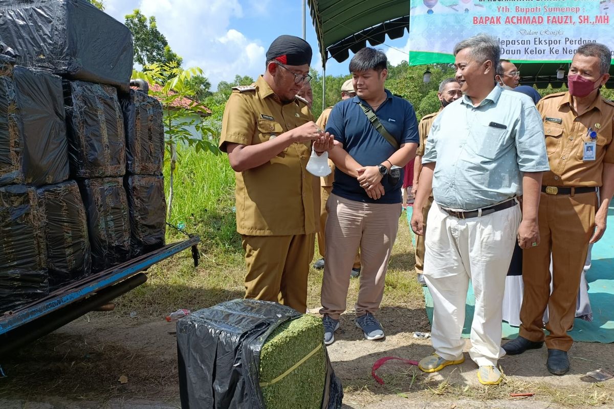 Bupati Sumenep di acara pelepasan perdana ekspor daun kelor di Desa Batang-batang Laok, Selasa (7/6/2022).