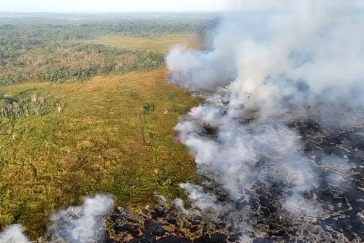 Hotspot di Lampung Melonjak, BMKG Deteksi 208 Titik Panas