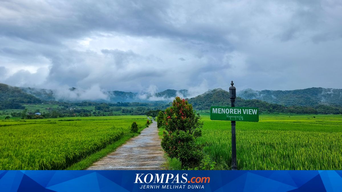 Aktivitas di Menoreh View Kulon Progo, Kulineran hingga Gowes Tengah Sawah