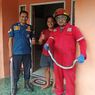 Dalam Sehari, Damkar Kabupaten Semarang Evakuasi Dua Ular Kobra dan Seekor Biawak