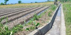 Di Tengah Pandemi, Pembangunan Infrastruktur Pertanian di Bali Tetap Berjalan