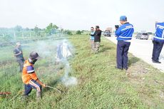 Petani Diizinkan Masuk ke Ruas Jalan Tol untuk Membasmi Hama Tikus