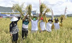 Berkaca dari Capaian Petani di Sumsel, Gus Halim Ajak Petani Nasional Tingkatkan Produktivitas Pertanian