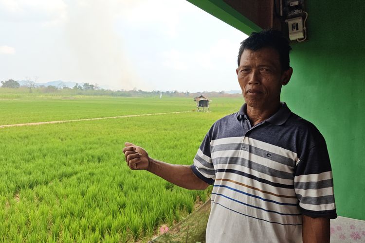 Modal Rp 7 Juta Terancam Tak Kembali, Petani Samarinda Menanti Keajaiban Hujan