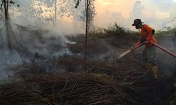 Tingkat Kebakaran Lahan Gambut Menurun, Bisa Tekan Emisi 