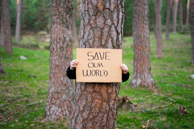 Ilustrasi aktivis memperjuangkan kelestarian hutan sebagai upaya mencegah krisis iklim.