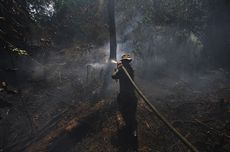 Dikritik PM Malaysia soal Penanganan Kebakaran Hutan, Ini Jawaban Wapres JK