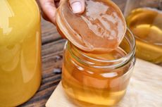 3 Penyebab Scoby Kombucha Rusak, Cara Simpannya Salah