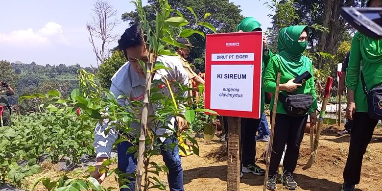 Komando Distrik Militer (Kodim) 0621 Kabupaten Bogor beserta forkopimda melakukan penanaman satu juta pohon di Kawasan Puncak Bogor, Jawa Barat, Kamis (31/3/2022).