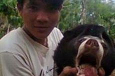Lewat Facebook, Pemuda Ini Pamer Kepala Beruang Madu yang Dipenggal