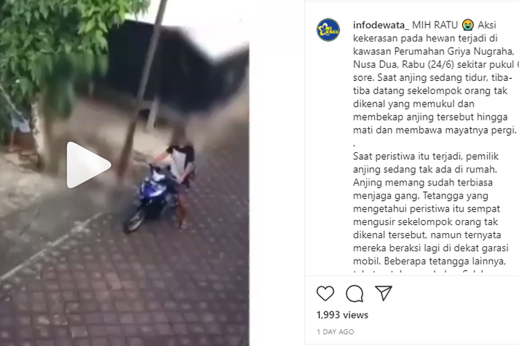 Tangkapan layar video viral seekor anjing dibunuh orang tak dikenal di Badung, Bali. Video itu diunggah akun Instagram @infodewata_