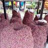 Sempat Turun, Pasokan Bawang Merah Dipastikan Kembali Normal pada Juni-Juli 2022