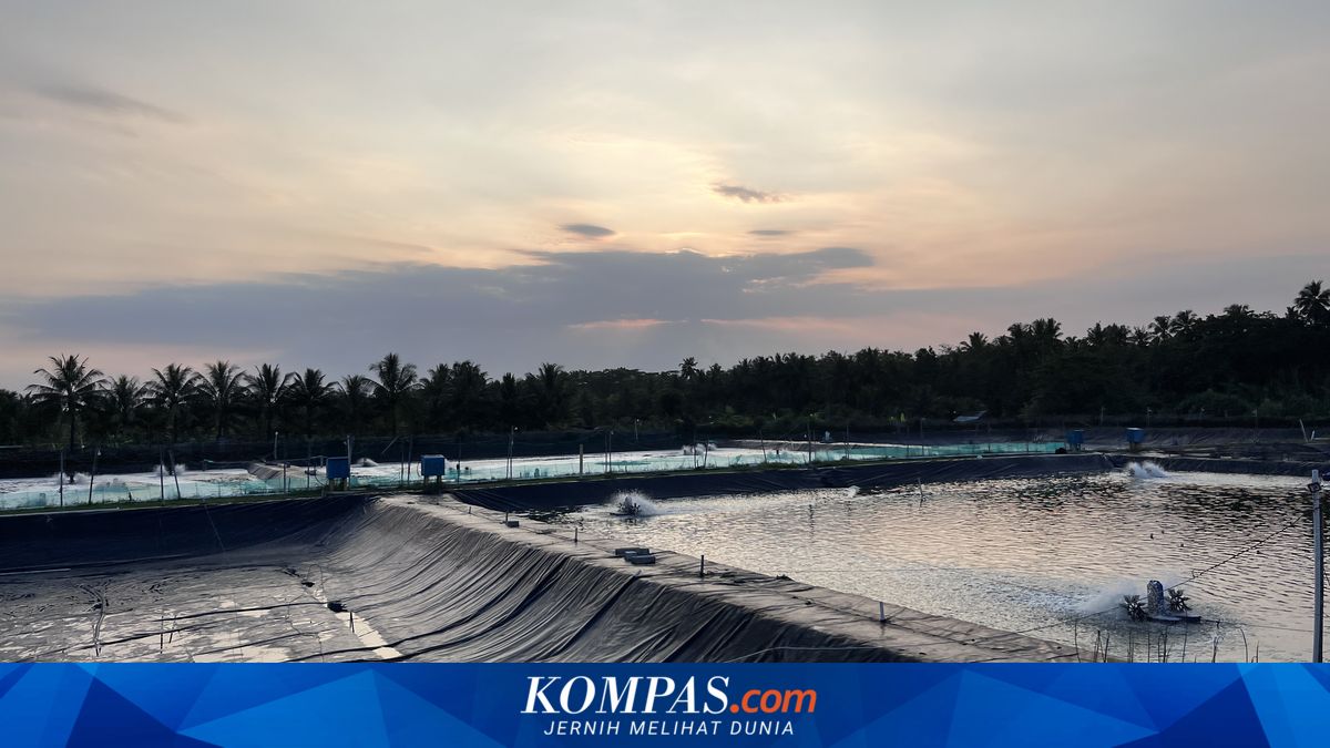 Usai Tongkang Karam, Petambak di Pesisir Pangandaran Belum Berani Ambil Air Laut